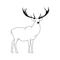 Deer illustration, Christmas, Winter, Outline, Silhouette