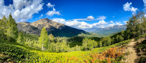 View of trees, boulders and mountains from the way to Cascades de Radule, Corsica, France on the way to Paglia Orba.