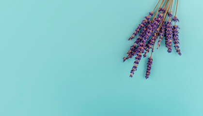 Lavender flowers on a mint background. Space for text high-quality photos for calendar and cards Top view, flat lay
