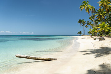Fototapeta na wymiar Tropical beach on Caribbean Island - Dominican Republic
