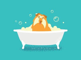 dog in a bath with soapy foam on a green background
