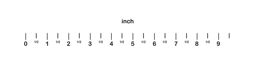 Measuring length markings in inches of ruler on white background. Illustration