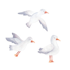 Set of a seagull in cartoon style. Watercolor illustration for baby and children print. Abstract design isolated on white background.