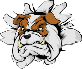 Bulldog breakthrough