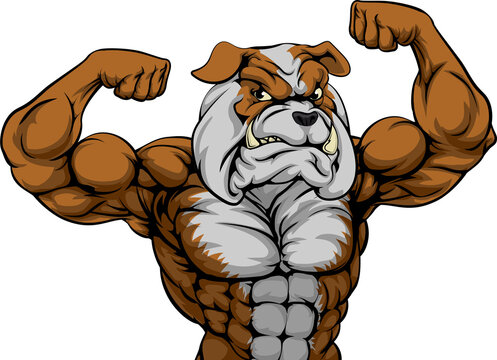 Bulldog Mascot Graphic