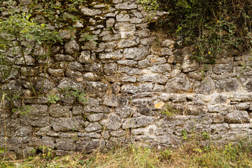 mittelalterlicher Hintergrund, Burgruine, Festung, Verteidigung, bewachsen, 