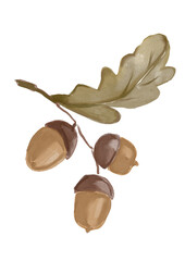 Watercolor illustration of oak tree branch with acorns © yuliia lashevska