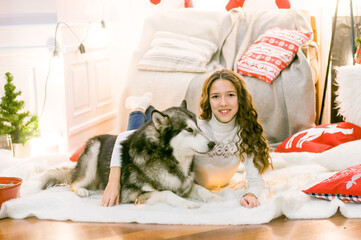 Obraz premium A cute teenage girl with long dark curly hair in a white pullover in a room with a Christmas decor with a large Malamute. Christmas mood. pets