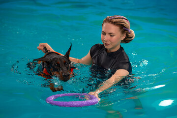 Dog in life jacket swim in the swimming pool with coach. Pet rehabilitation. Recovery training...