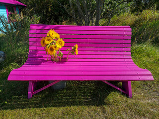 Hot Pink wooden garden bench with sunflowers in the garden