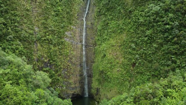The Biberon waterfall on Reunion Island