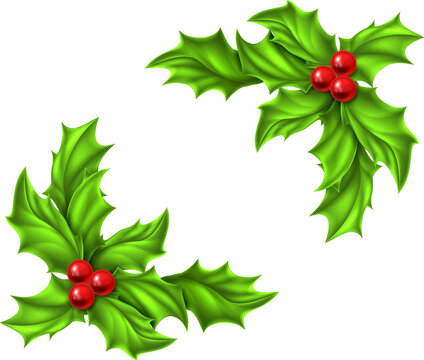 Christmas Holly Design
