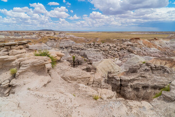 Panoramic view of the landscapes in the Petrified Forest National Park, Arizona, USA
