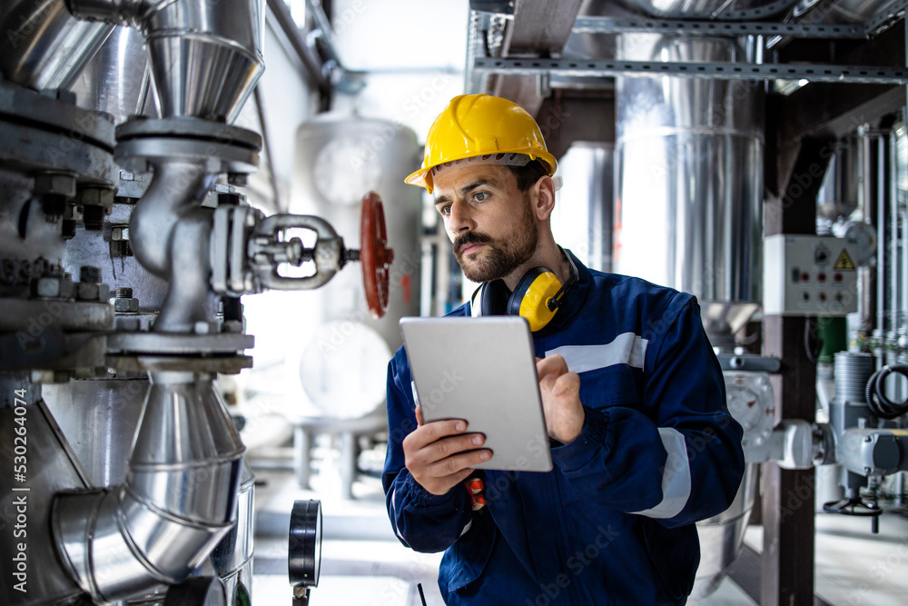 Wall mural worker supervisor in district heating plant doing quality control and inspection of pipes and valves