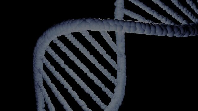 Dna doppia elica, animazione. Animazione 3d