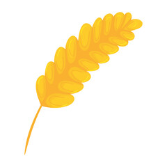 Vector unit element. Oktoberfest. Ear of wheat is hand-drawn on a white background. A traditional German holiday.