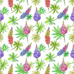 Watercolor colorful pattern with lupin flowers and leaves. With transparent layer.