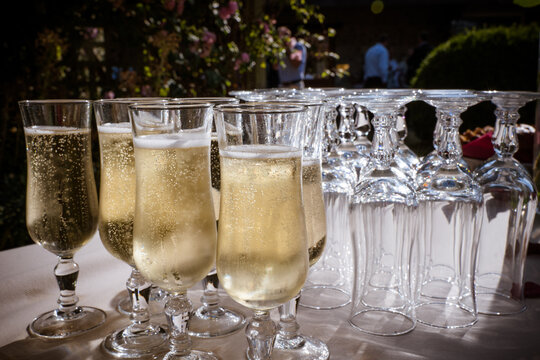 Coupes de champagne