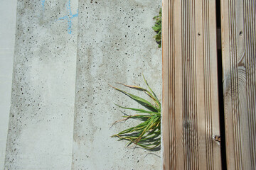 einzelner Grasbüschel an einer Betontreppe und einer Sitzfläche aus Holzbalken