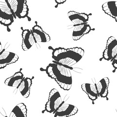 Seamless pattern with abstract black silhouette of cute flying butterflies isolated on white background