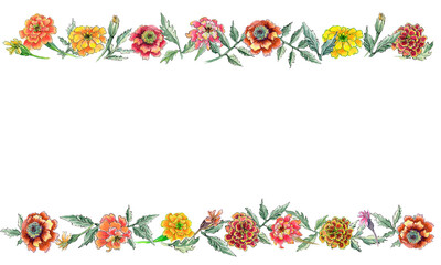 Watercolor border with marigold . With transparent layer.