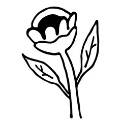 Flower Icon