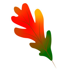 Autumn leaf