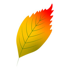 Autumn leaf