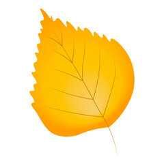 Autumn leaf