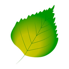 Autumn leaf