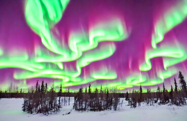 Beautiful Northern Lights aurora borealis borealisgreen. Purple and green aurora.