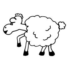 sheep
