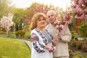 mature couple wearing Ukrainian embroidered shirt standing in park in spring or summer near sakura blooming tree