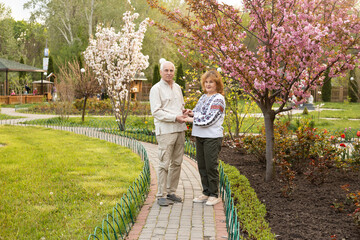 Happy senior mature couple wearing Ukrainian embroidered shirt standing in park in spring or summer near sakura blooming tree
