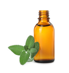 Bottle of essential oil and mint on white background
