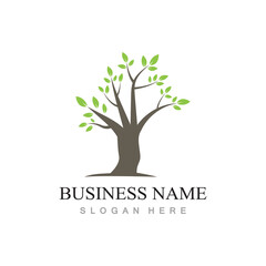 Obraz premium tree logo design with template vector concept