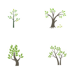 tree logo design with template vector concept