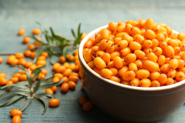 Ripe sea buckthorn berries on blue wooden table, closeup
