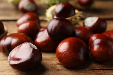 Many horse chestnuts on wooden table, closeup