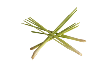 lemongrass isolated on a transparent background