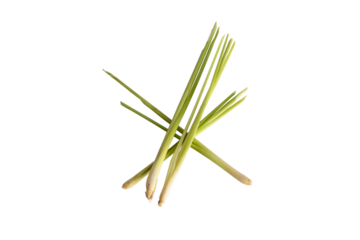 lemongrass isolated on a transparent background