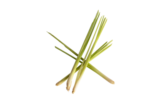lemongrass isolated on a transparent background