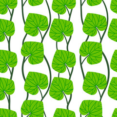Seamless pattern with growing green leaves on a white background