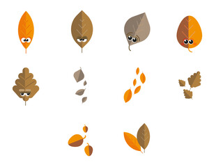 Cartoon autumn leaves