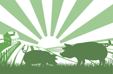 Silhouette pigs on farm