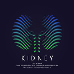 Human kidney medical structure. Vector logo kidney color silhouette on a dark background. EPS 10