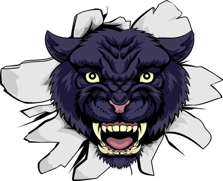 Black Panther Sports Mascot