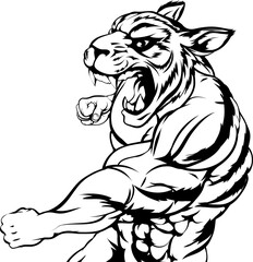 Tiger mascot fighting