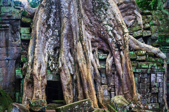 Ta Prohm