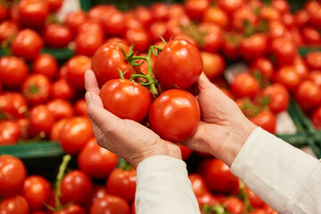 Hände halten Tomaten aus der Region in der Obst Abteilung